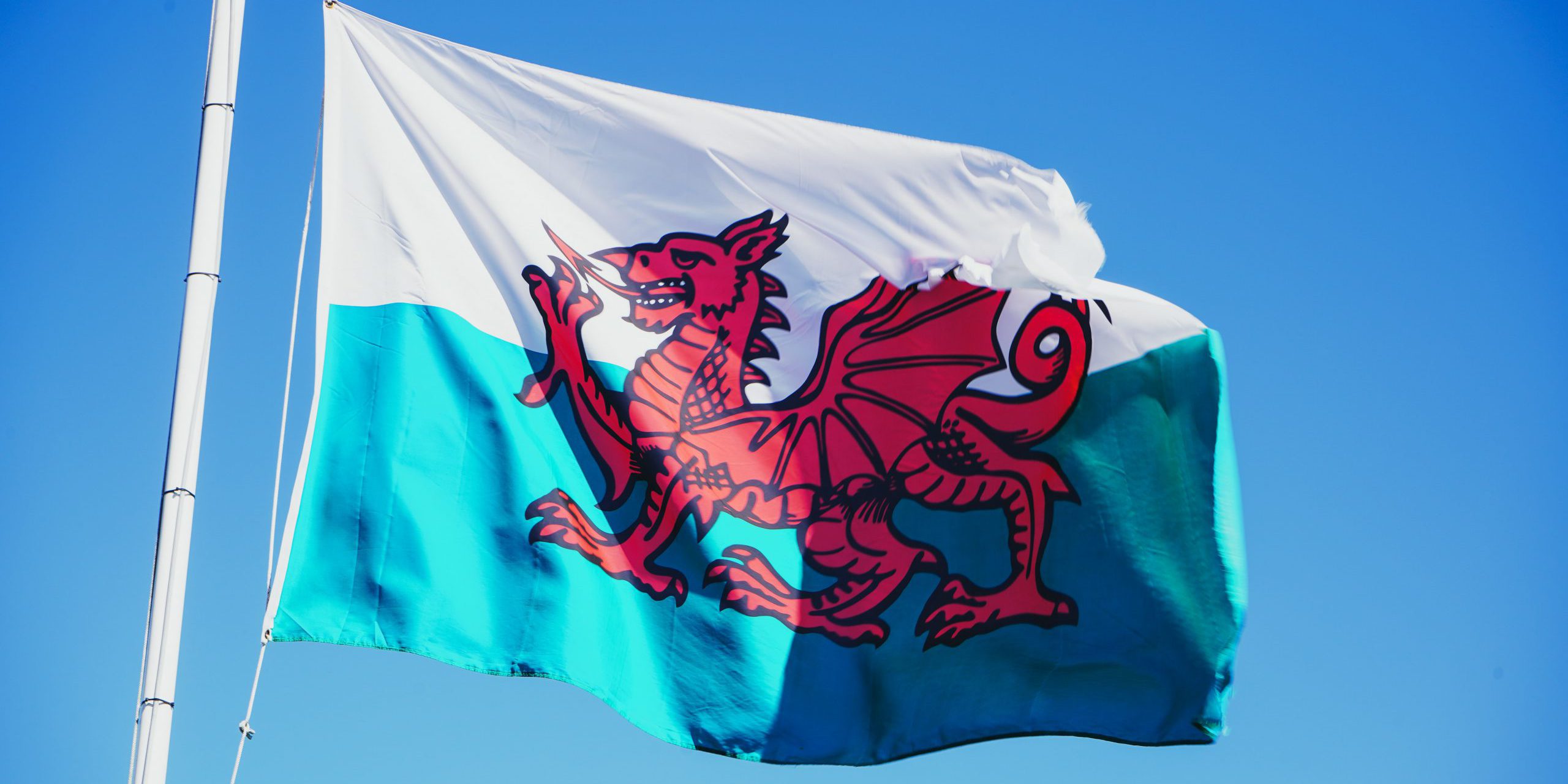 catrin-ellis-Xvw16l-b2uo-unsplash